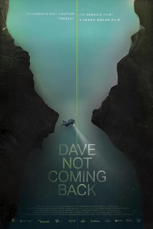 Dave Not Coming Back film posteri